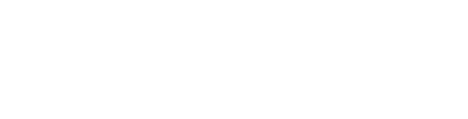 Zirkular Dendak