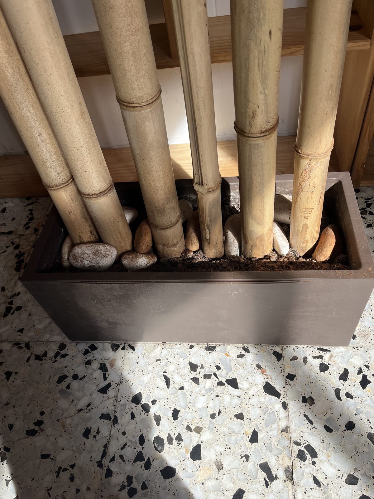 Jardinera con cañas de bambú